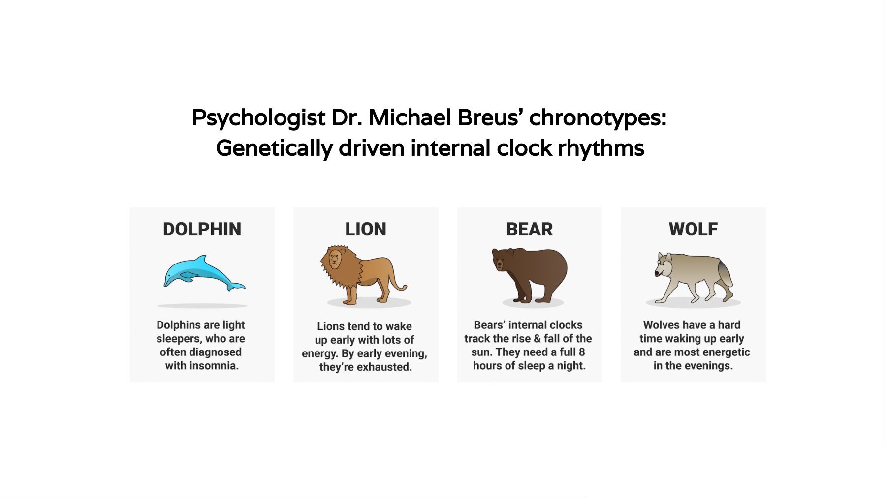 Psychologist Dr. Michael Breus' chronotypes, genetically driven internal clock rhythms, shown as dolphin, lion, bear and wolf sleeper types.