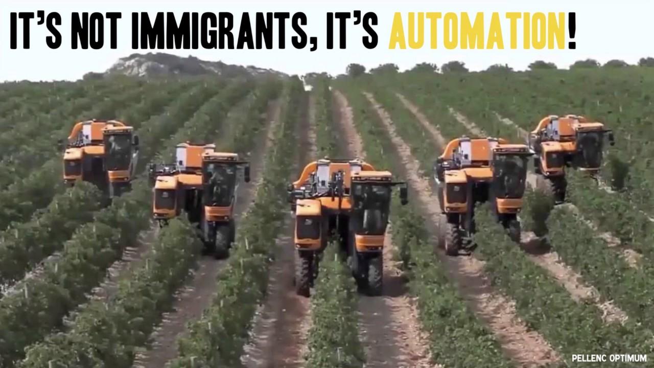 A fleet of autonomous harvesting machines working rows of a vineyard.